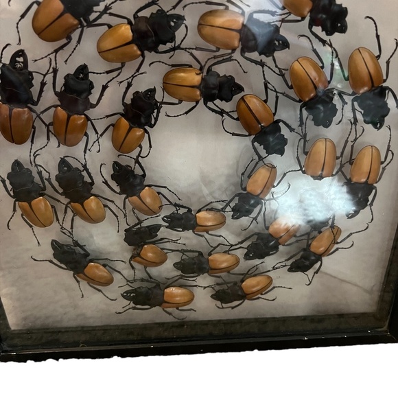 Beetles Faux Library Studio Props - Picture 9 of 9